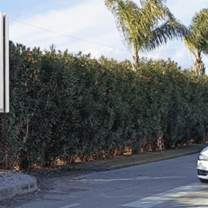 BATTIPAGLIA - S. S. 18 TIRRENA INFERIORE